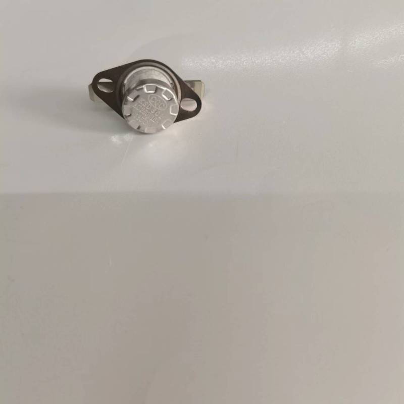 帮客材配 全新原装 法迪欧蒸烤一体机SKTD65B- ZH01 电源温控器105度 收前验货高清大图