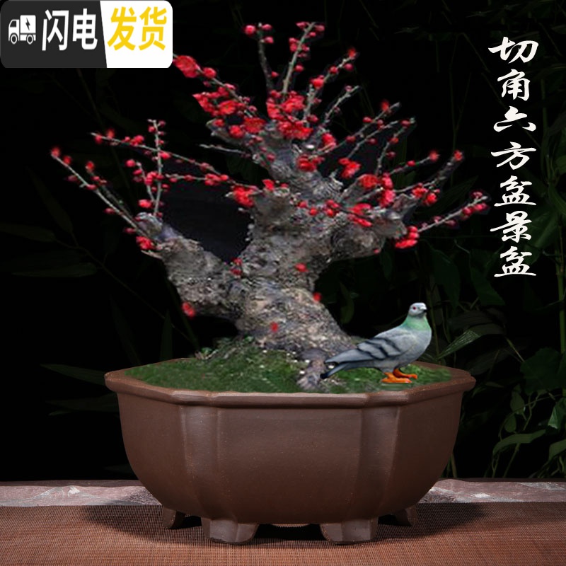 三维工匠紫砂花盆四方盆景盆栽花卉室内陶瓷盆八角梅花榕树盆景专用盆大号 抽角六方小号 尺寸如图,关注店铺优先发货花盆容器高清大图