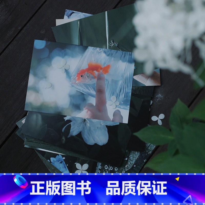 【正版】绿了流年 摄影师@-Leeleven-28张森林初夏绿色风光摄影作品集 如沐春风美好温柔出类艺术明信片创意唯美