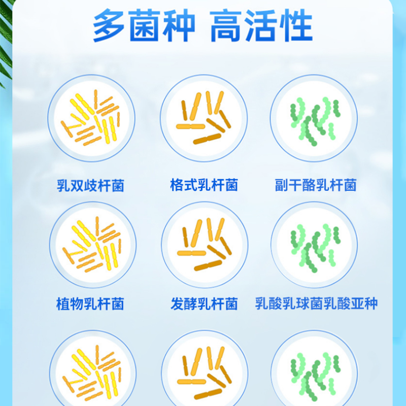 南京同仁堂福记坊益生菌调理肠胃肠道冻干粉7袋装正品*3盒