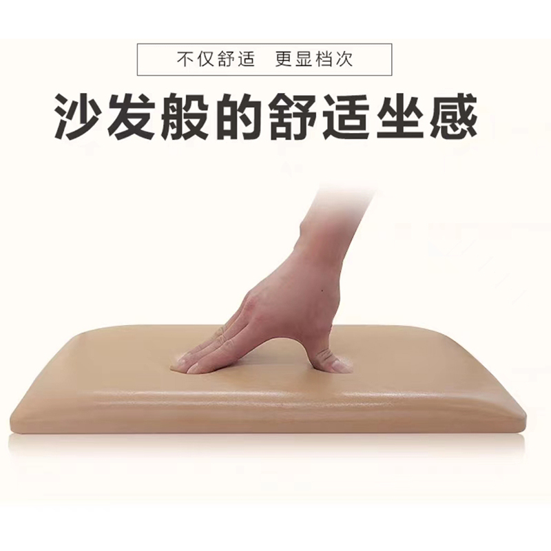 琪佳鸿 椅垫 常规 个