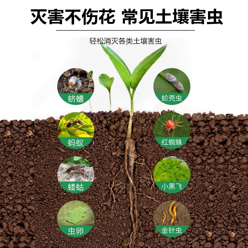花卉植物杀虫剂杀虫药月季花土壤花盆花草除虫家用灭杀小飞虫室内