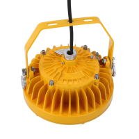 鼎晟丰(DSF)DSFF-951(30W)LED防爆节能泛光灯 黄色