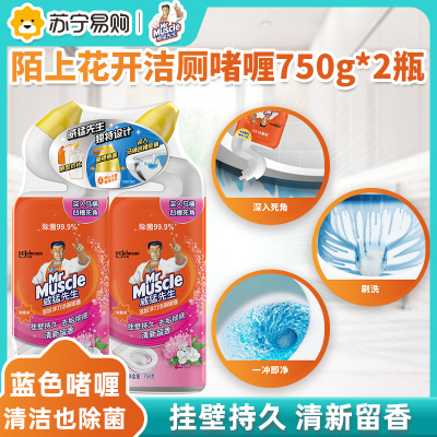 威猛先生洁厕啫喱陌上花开750g*2