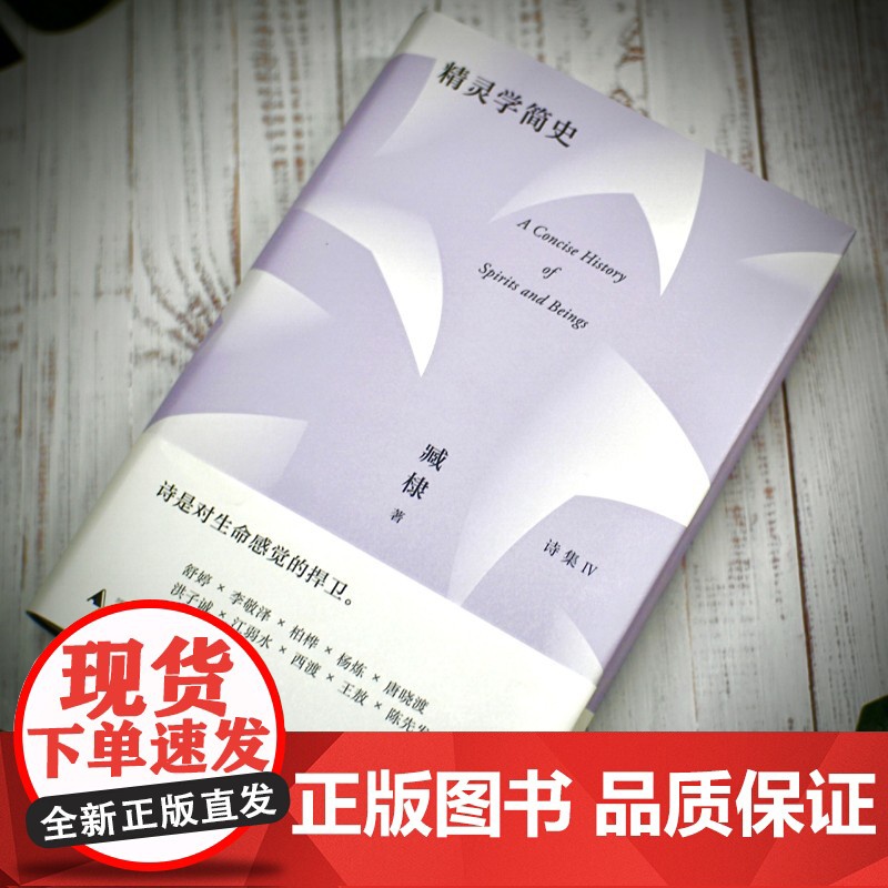 臧棣诗系 精灵学简史 臧棣 著 文学高清大图