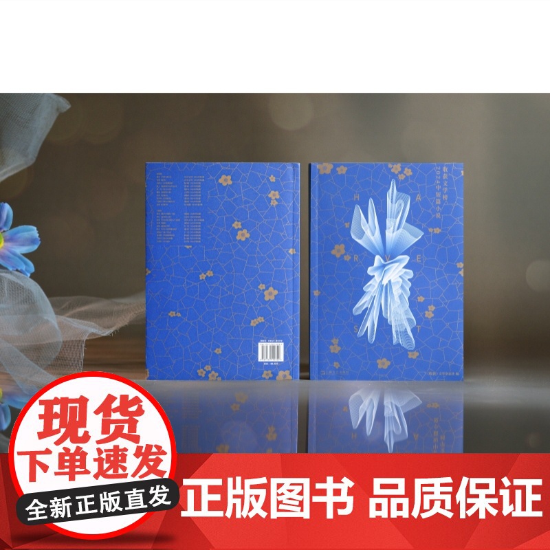 收获文学榜2024中短篇小说 收获文学杂志社编上海文艺出版社中国当代中短篇小说集班宇双雪涛孙频七堇年等名家20篇获奖新作高清大图