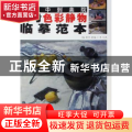 从附中到美院高考色彩静物临摹范本
