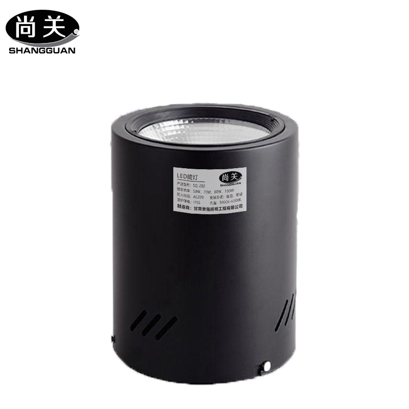 尚关(SHANGGUAN)灯 SQ-Z02 AC220V LED 30W