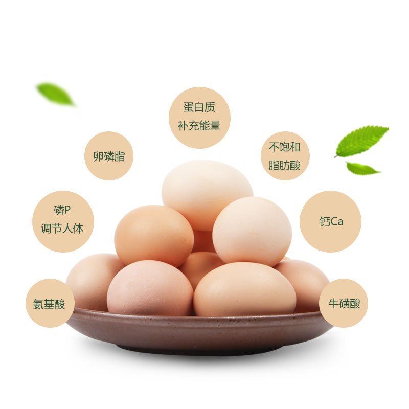 [熊猫鸟]新鲜土鸡蛋 10枚装 农家散养新鲜正宗草鸡蛋笨柴鸡蛋孕妇月子蛋整箱高清大图