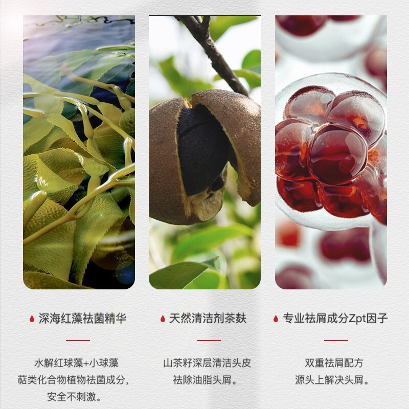 b2v红藻止痒舒缓洗发水能量发素舒缓沐浴露520ml洗护沐组合