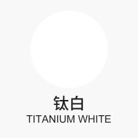 迎夏2L大瓶丙烯颜料套装美术丙烯画彩绘墙绘专用石头画鹅卵石涂鸦 钛白[送按压杆+30ML小颜料] 500ML