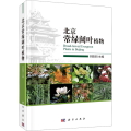 北京常绿阔叶植物