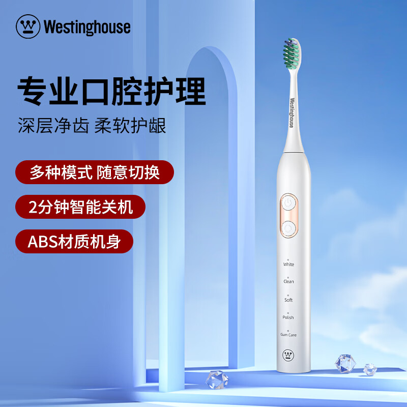 西屋(WESTINGHOUSE) 声波电动牙刷家用充电式软毛牙刷WT-0503