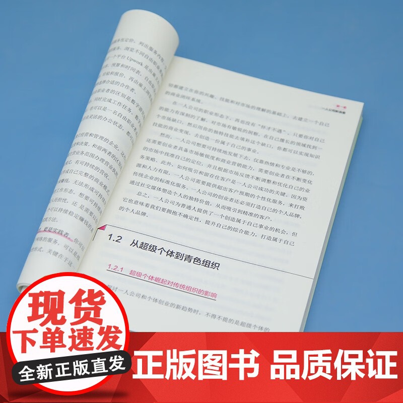 一人公司 用个人品牌实现自由人生 王艺霖 著 管理高清大图