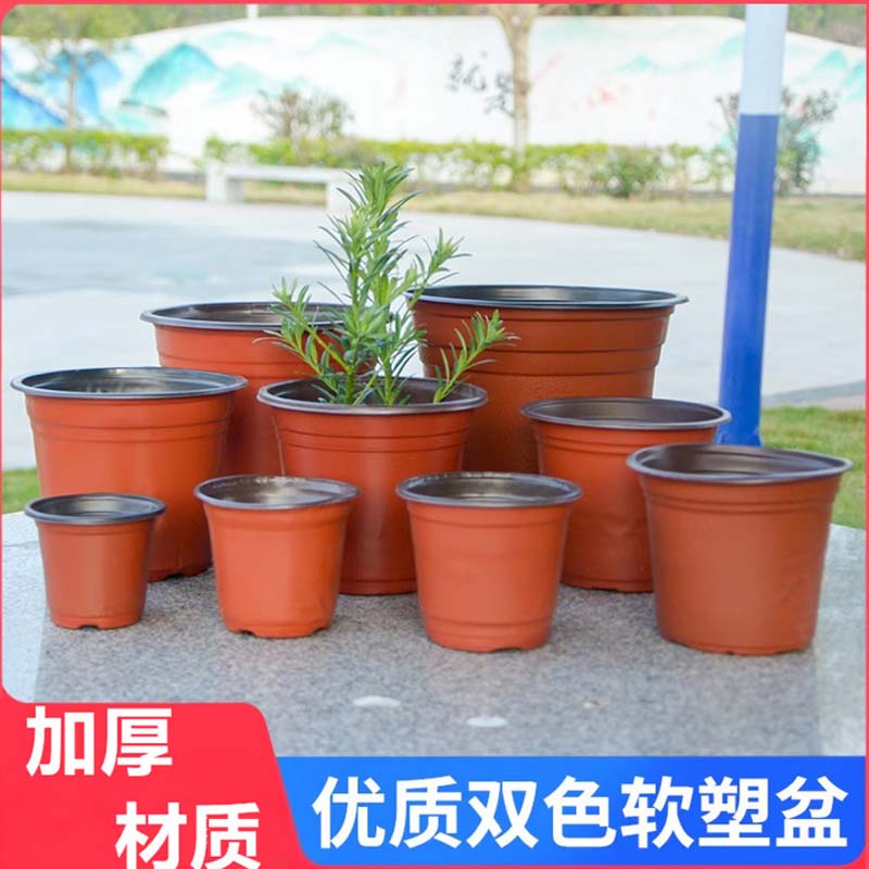 培育盆 双色盆软塑塑料一次性盆培育栽绿植多肉扦插盆1000个(大号),外口径12cm高清大图