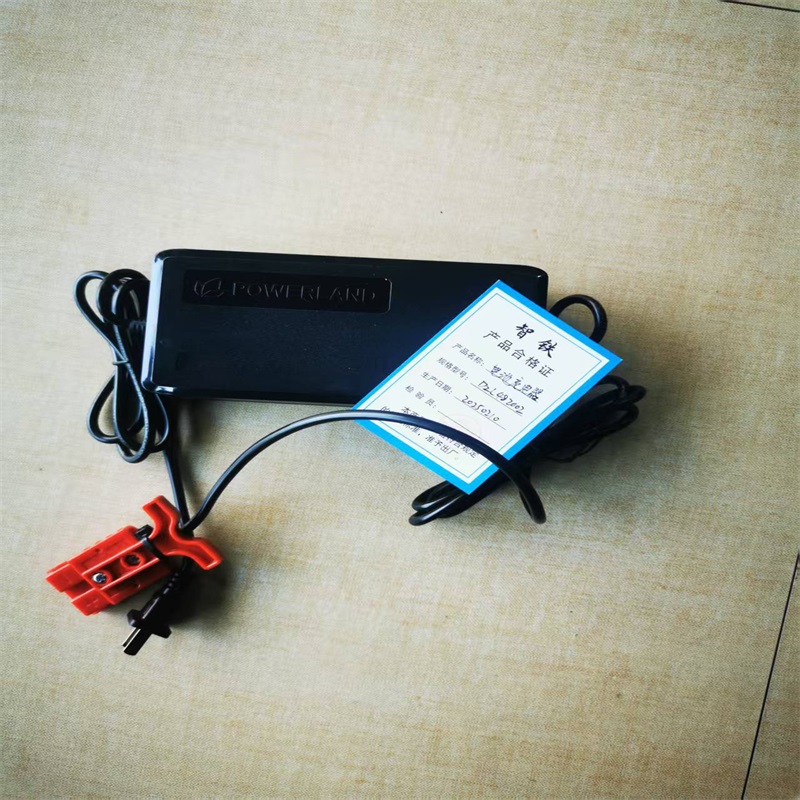 智铁电池充电器D2L482002个高清大图
