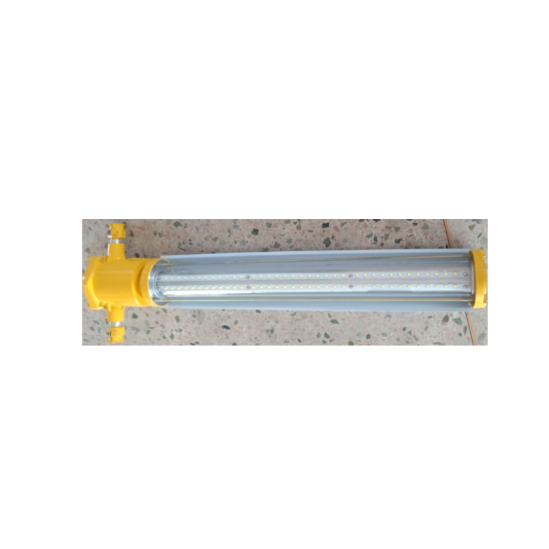 DINT 矿用隔爆型LED巷道灯 DGS36/127L(A) 48W M