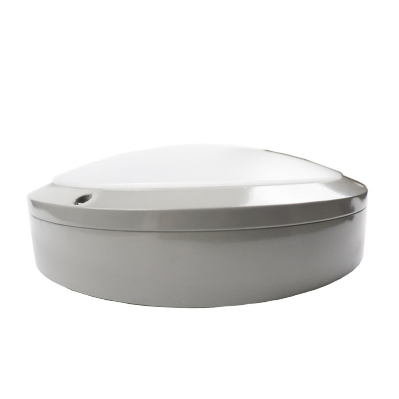 鼎晟丰(DSF)DSFM-890A 12W AC220V IP65 5700K LED防水吸顶灯(计量单位:台) 白色