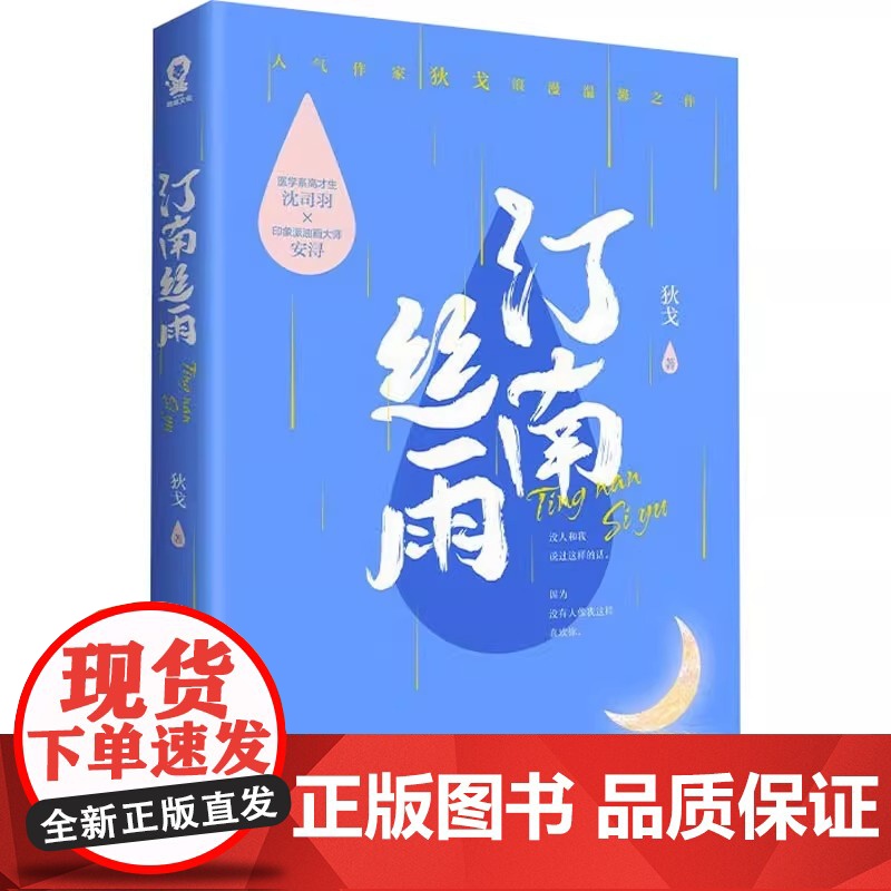 赠许愿卡+机票+折立卡+贴纸+语录书签]汀南丝雨 狄戈代表作纪念版沈司羽安浔青春文学都市爱情情感甜宠言情小说高清大图