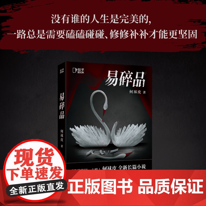 2024豆瓣年度书单]易碎品 百万粉丝悬疑大号没药花园主理人何袜皮全新长篇小说关于爱情人性秘密与死亡的故事高清大图