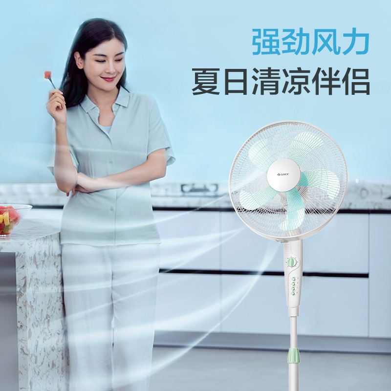 格力(GREE)落地扇FDE-40时尚家用新款低噪静音五叶机械风扇定时3档风速可摇头电风扇落地扇