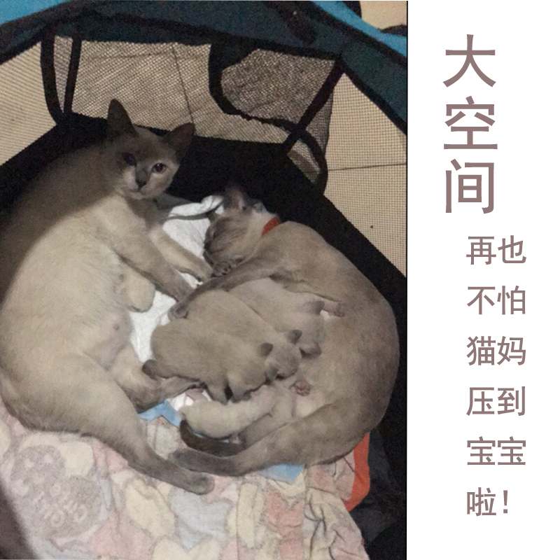 猫咪产房怀孕猫产房产箱猫窝折叠户外帐篷狗狗封闭式窝猫生产用品高清大图