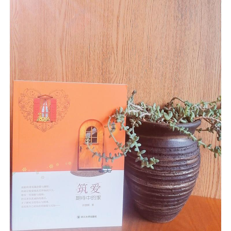 音像筑爱邱慧辉 著