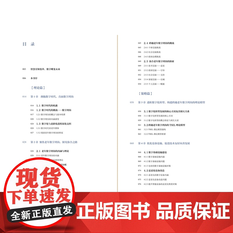 弥合数字鸿沟 盛雪锋 同济大学出版社高清大图