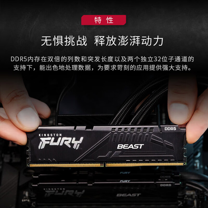 金士顿(Kingston) DDR5台式机内存条 第五代内存 FURY Beast野兽系列 骇客神条 5200单条16G
