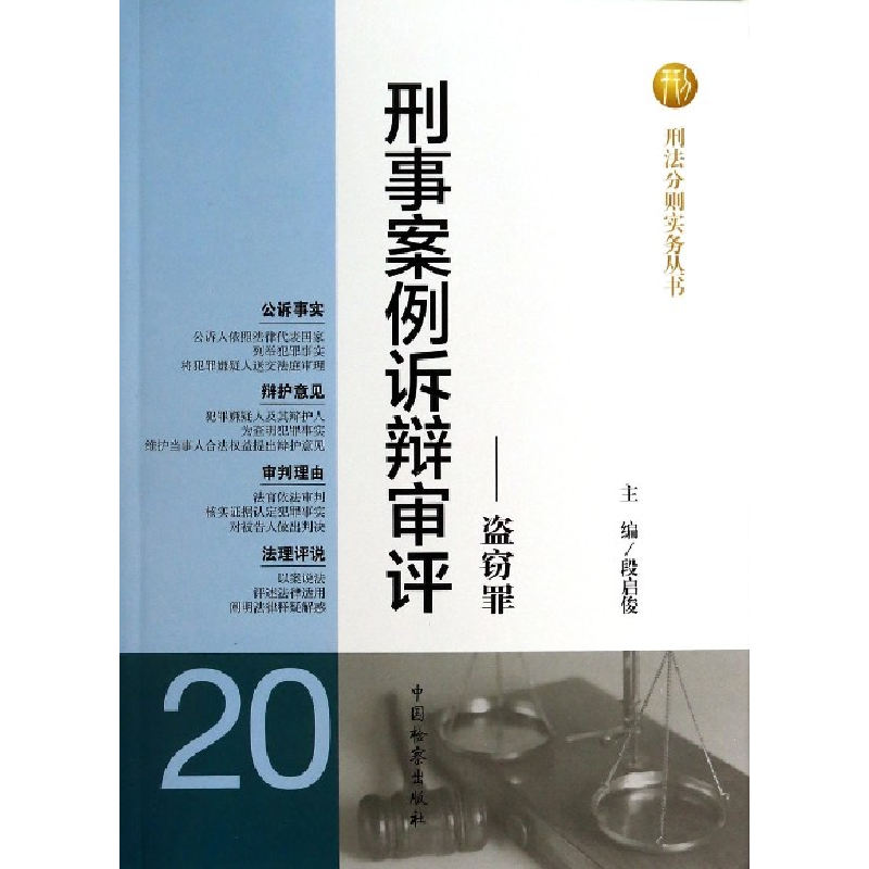 音像刑事案例诉辩审评--盗窃罪/刑法分则实务丛书段启俊