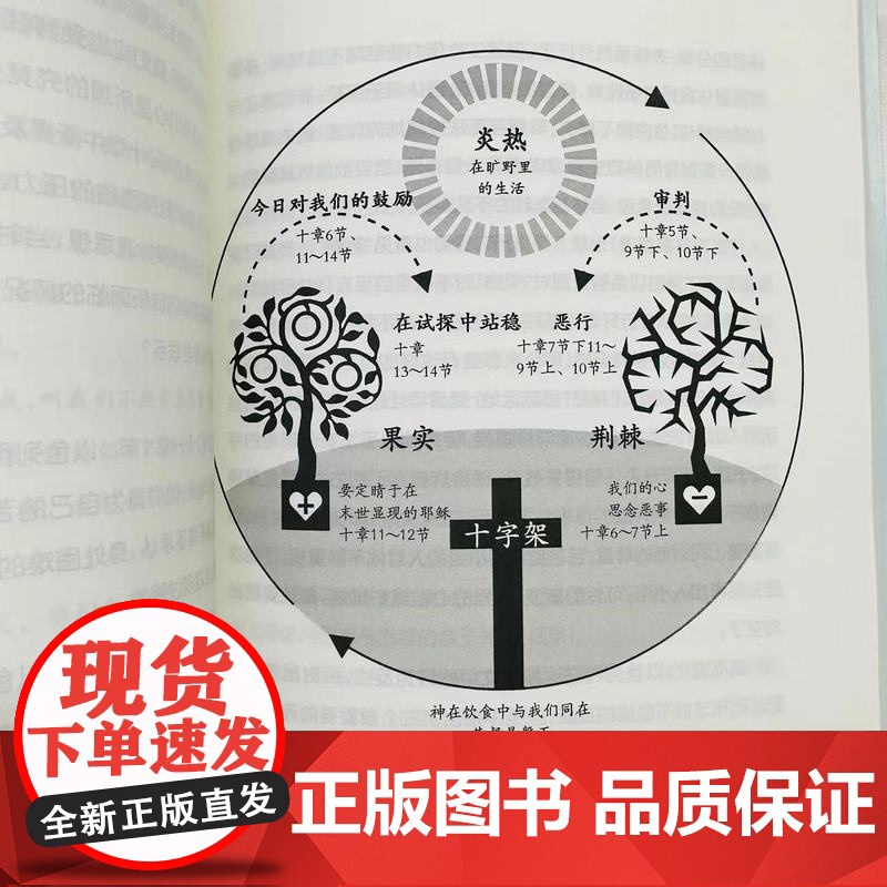 人如何改变 —— 在恩典中经历蜕变的喜乐 提姆·连恩,保罗·区普 著,黄玉卿,张燕 译 简体 上海三联书店 97875高清大图