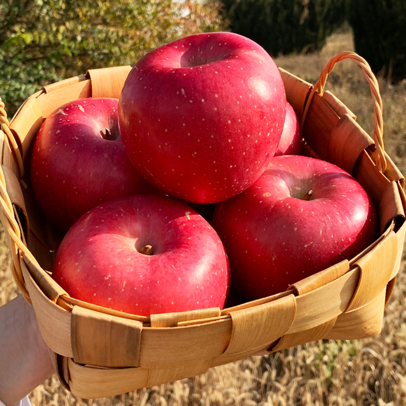 中华特色瓦房店馆大瓦果苹果红富士5斤装箱装辽宁大连特产新鲜水果当