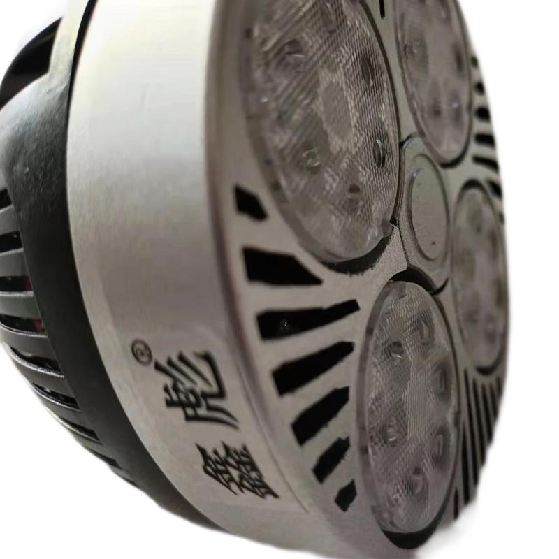 鑫彪40W P30光源/支高清大图