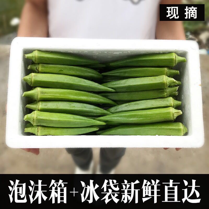 新鲜秋葵3斤 [ 现发新鲜秋葵] 水果秋葵鲜嫩新鲜蔬菜