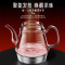 金灶(KAMJOVE) E-85 喷淋式煮茶器 蒸汽喷淋煮茶壶玻璃电茶壶 喷淋式煮茶器
