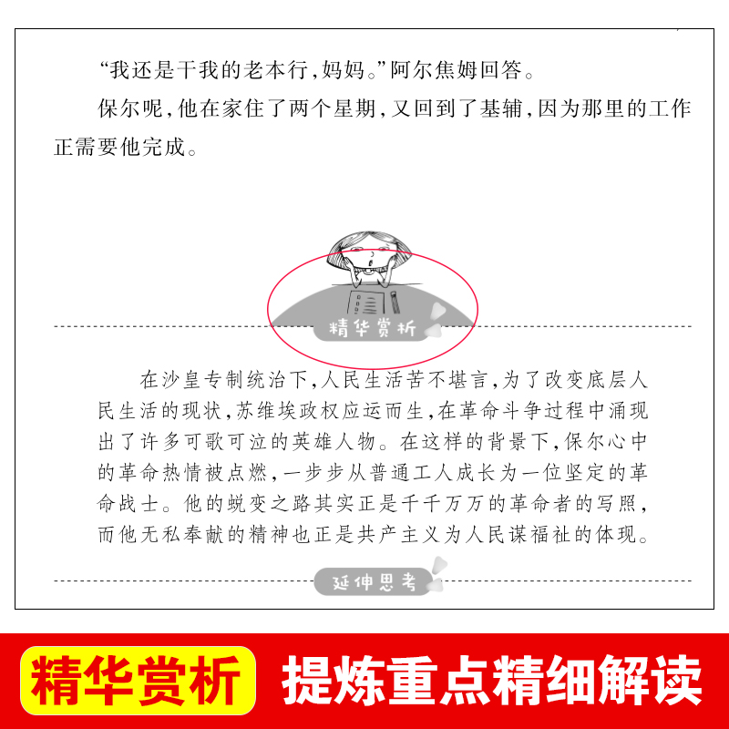 苦儿流浪记 [正版]钢铁是怎样炼成的青少年成长励志小说儿童文学世界名著必读三四五六七八年级初中小学生课外阅读书籍繁星春水高清大图