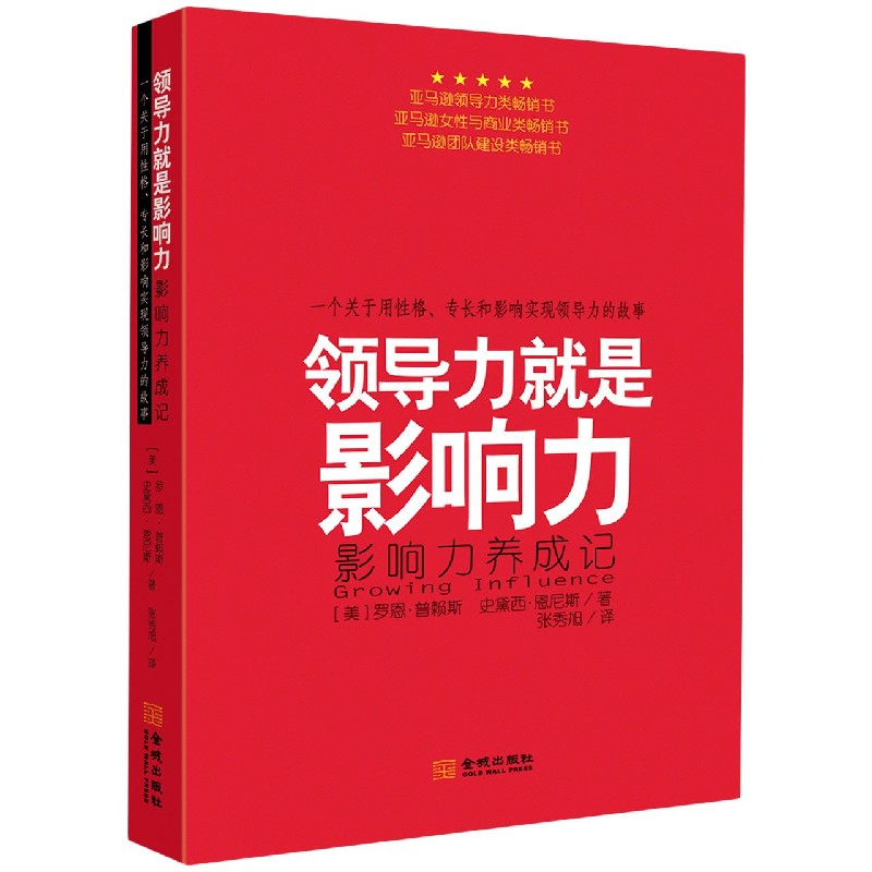 音像领导力就是影响力(影响力养成记)罗恩·普赖斯
