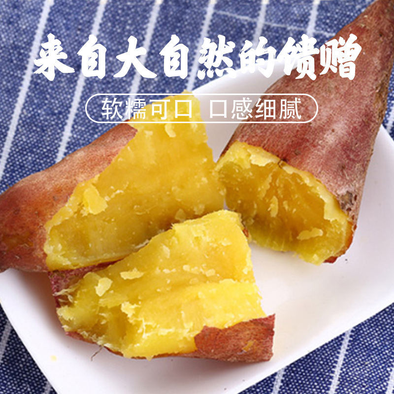 龙九蜜薯新鲜沙地糖心地瓜软糯香甜蜜薯 龙九蜜薯 5斤中大果