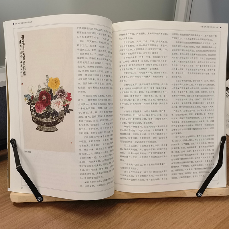 醉染图书写意花鸟画创作技法十六讲9787558625114高清大图
