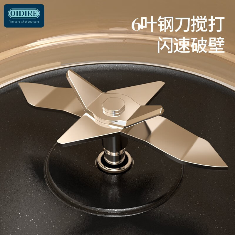 奥帝尔(OIDIRE)德国OIDIRE 迷你破壁豆浆机ODI-PBJ35