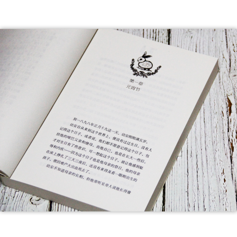 野芒坡 [正版]全新 野芒坡 殷健灵系列儿童文学长篇力作 曹文 轩力荐青少年成长励志故事 8-12-15岁四五六年级中小