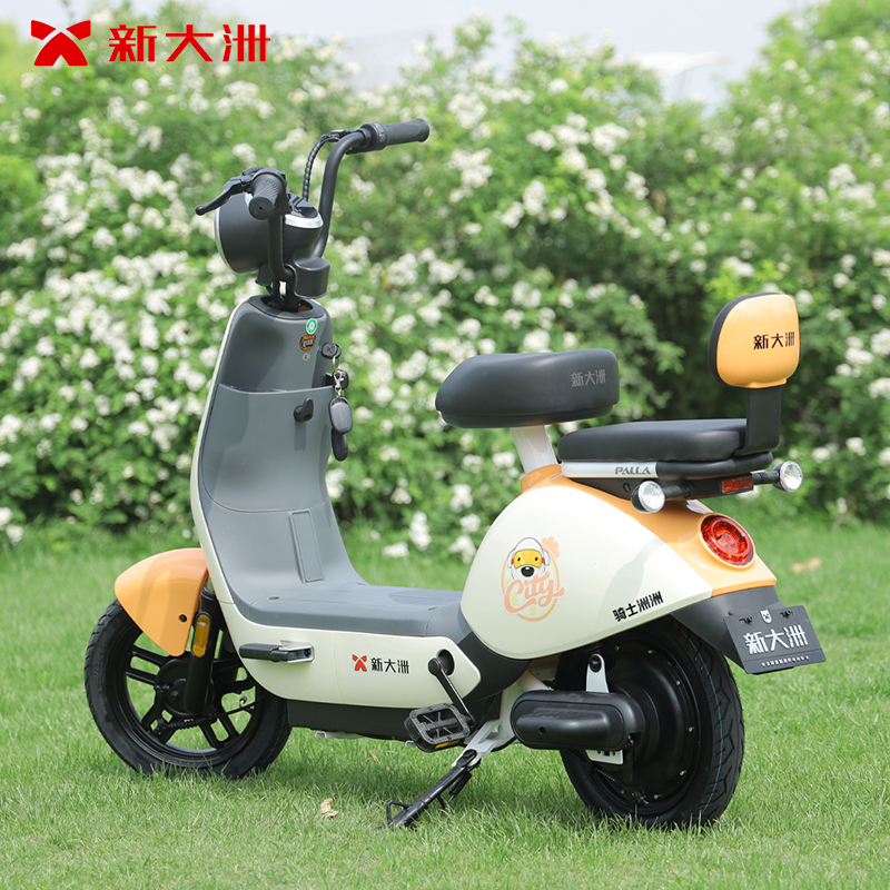 palla电动车报价_参数_图片_视频_怎么样_问答-苏宁易购