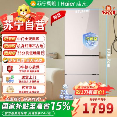 海尔冰箱BCD-220WGHC3E9Y1