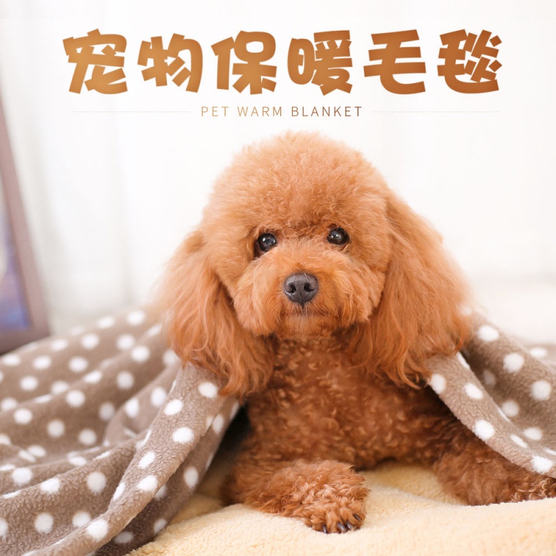 宠物毯子毛毯狗狗被子狗垫子床垫猫棉垫泰迪窝垫狗窝用品四季通用高清大图