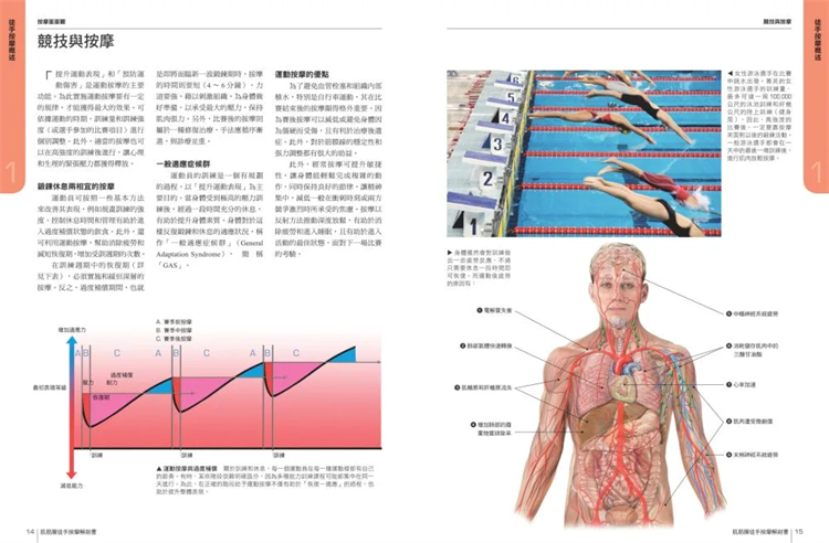 [正版] 原版进口图书 肌筋膜徒手按摩解剖书5大部位x 10种手法x 7道程序 采实 筋膜 书高清大图