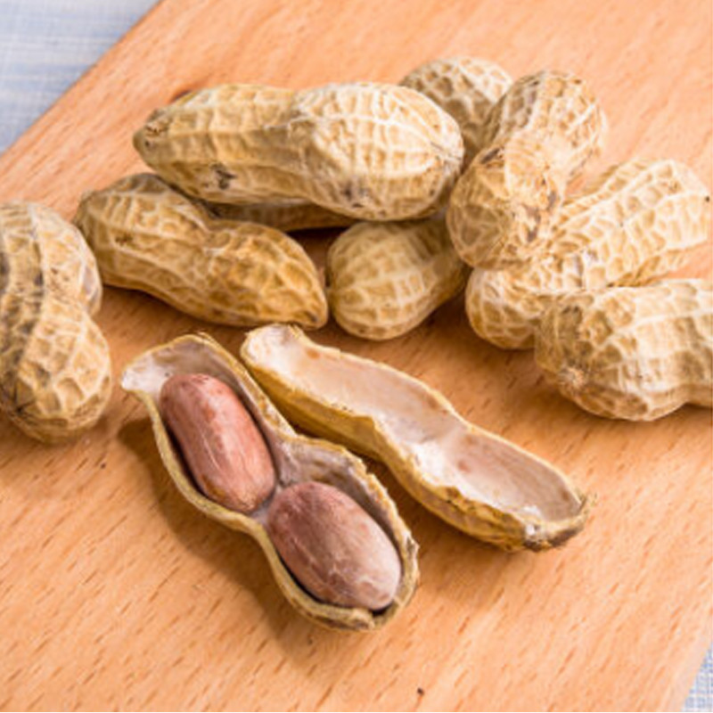 兰考馆萧美人花生带壳熟花生5斤装坚果炒货休闲零食河南特产