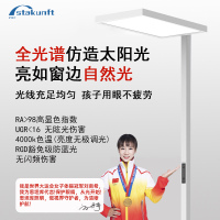 思坦库大路灯全光谱落地护眼立式台灯儿童学习灯 白色