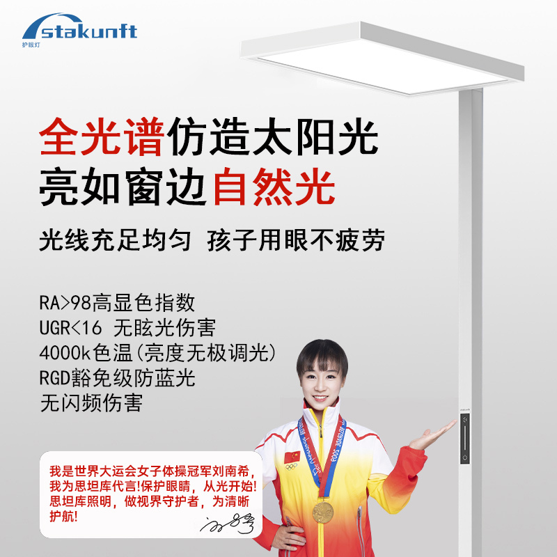 思坦库(stakunft)全光谱护眼落地灯学生儿童学习阅读立式台灯卧室书房LED大路灯上下发光护眼灯STK-01-100