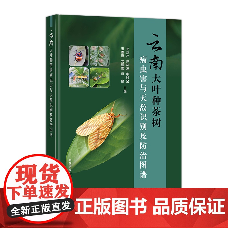 云南大叶种茶树病虫害与天敌识别及防治图谱高清大图