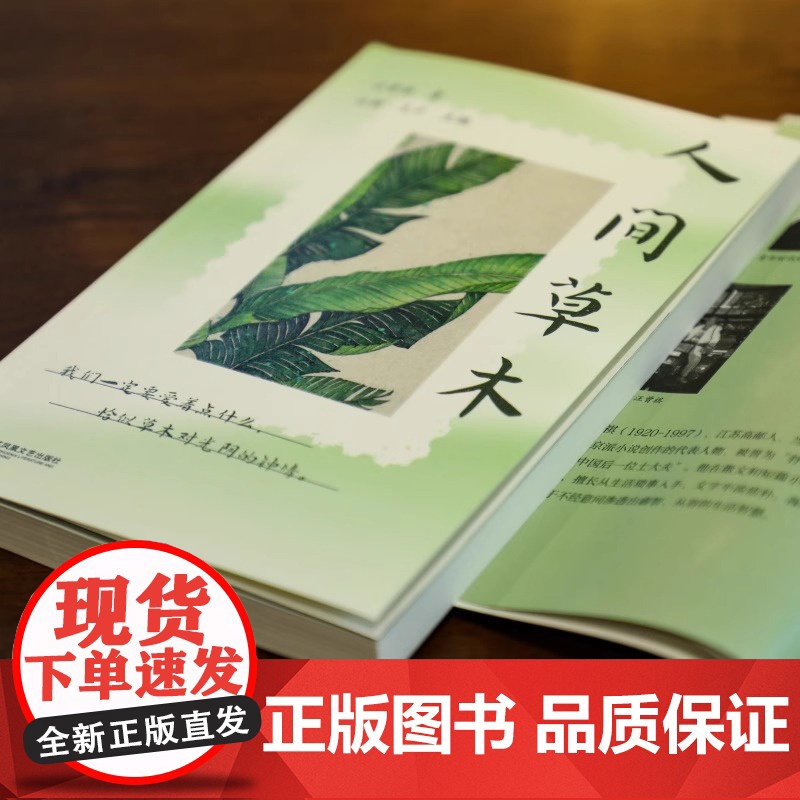 2025百班千人阅读 6六年级小学生课外书 人间草木 9-12岁青少年儿童文学成长图书课外阅读书籍课外阅读必读正版书籍高清大图